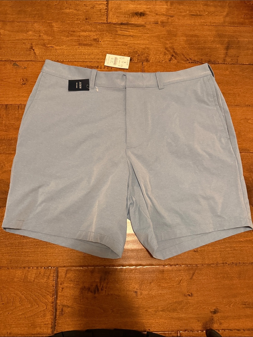 J.Crew Men's Light Blue tech Shorts